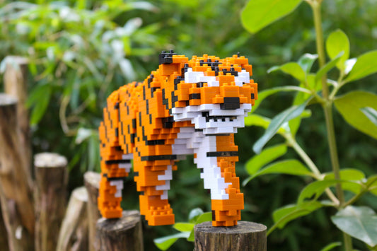 Jekca Tiger