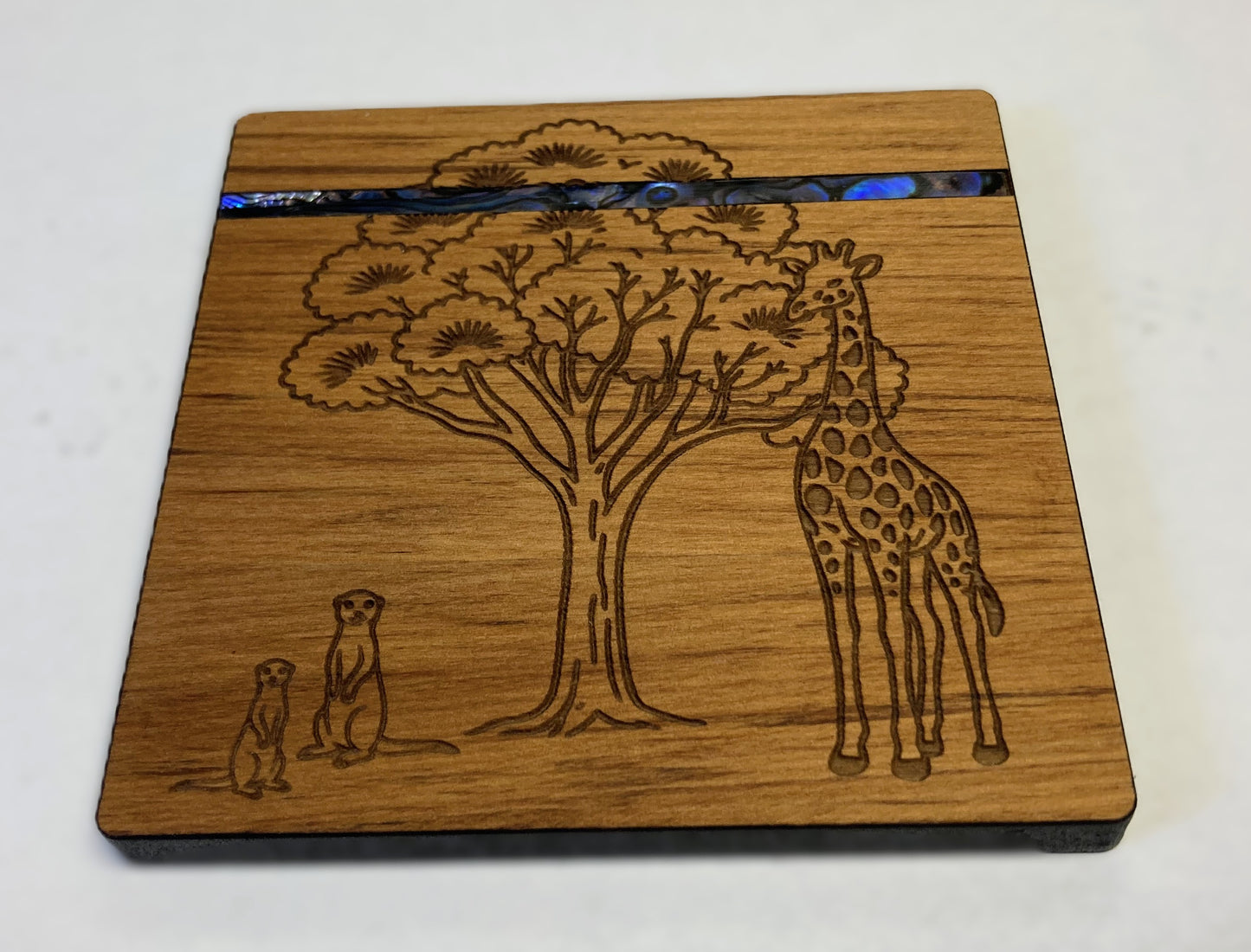 Paua and Rimu Coaster - Zoo (Meerkat, Giraffe)