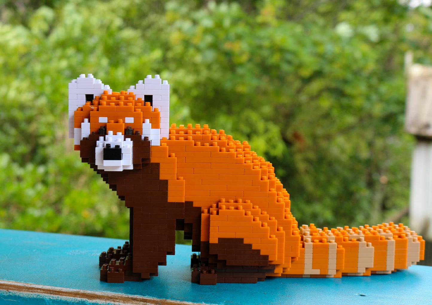 JEKCA Red Panda