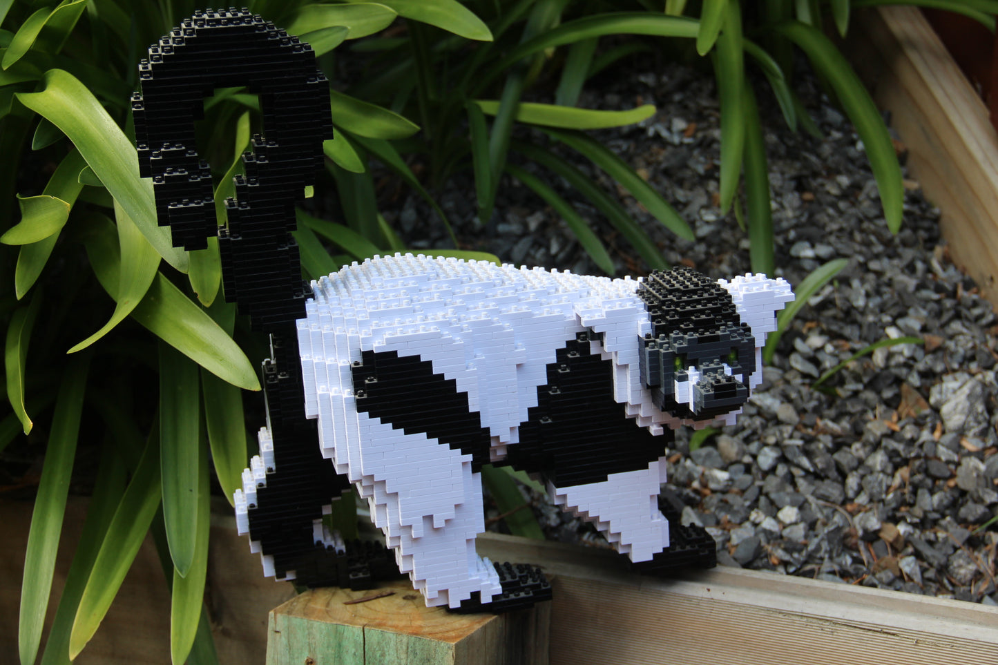 Jekca Black and White Lemur
