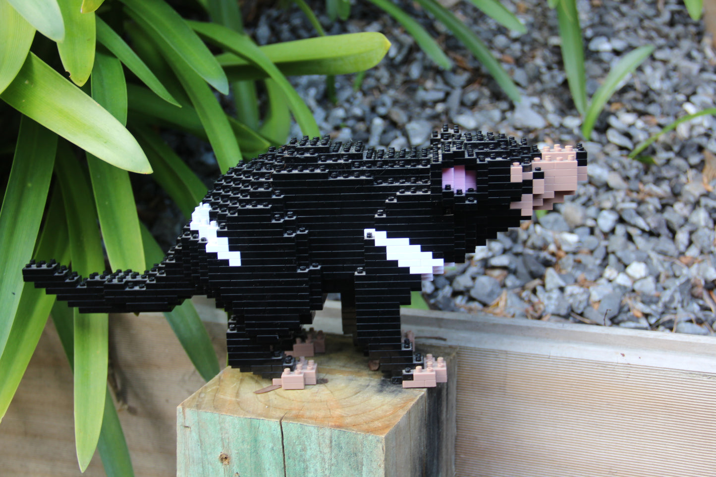 Jekca Tasmanian Devil