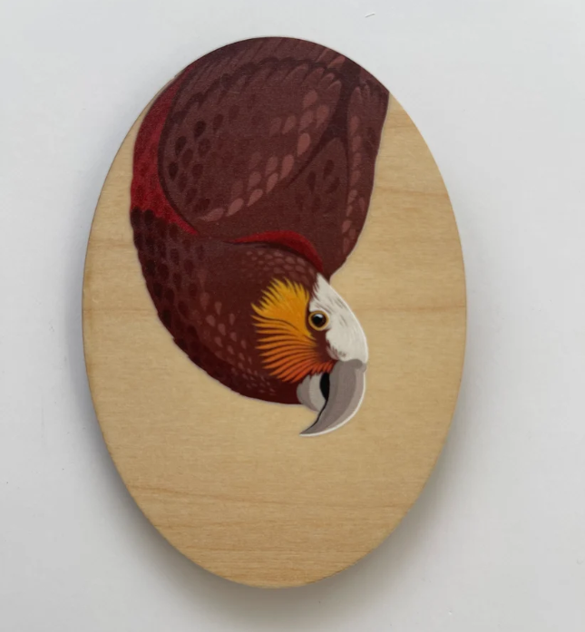 Magnet - Kaka