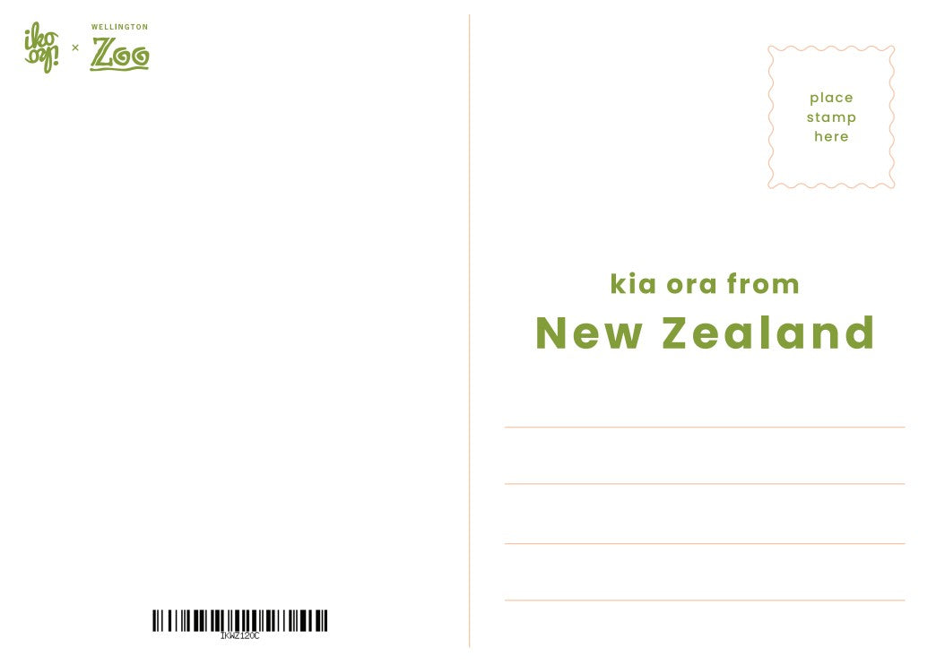 Celebrating 120 Years Postcard