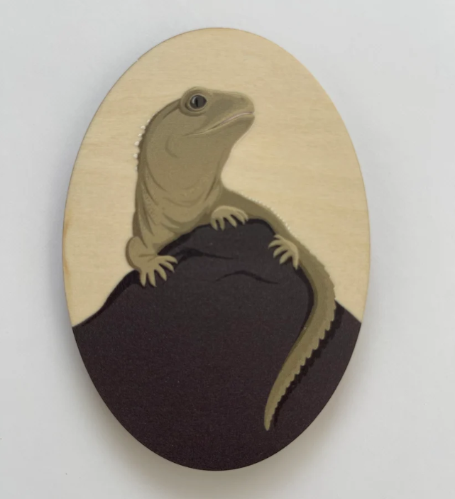 Magnet - Tuatara