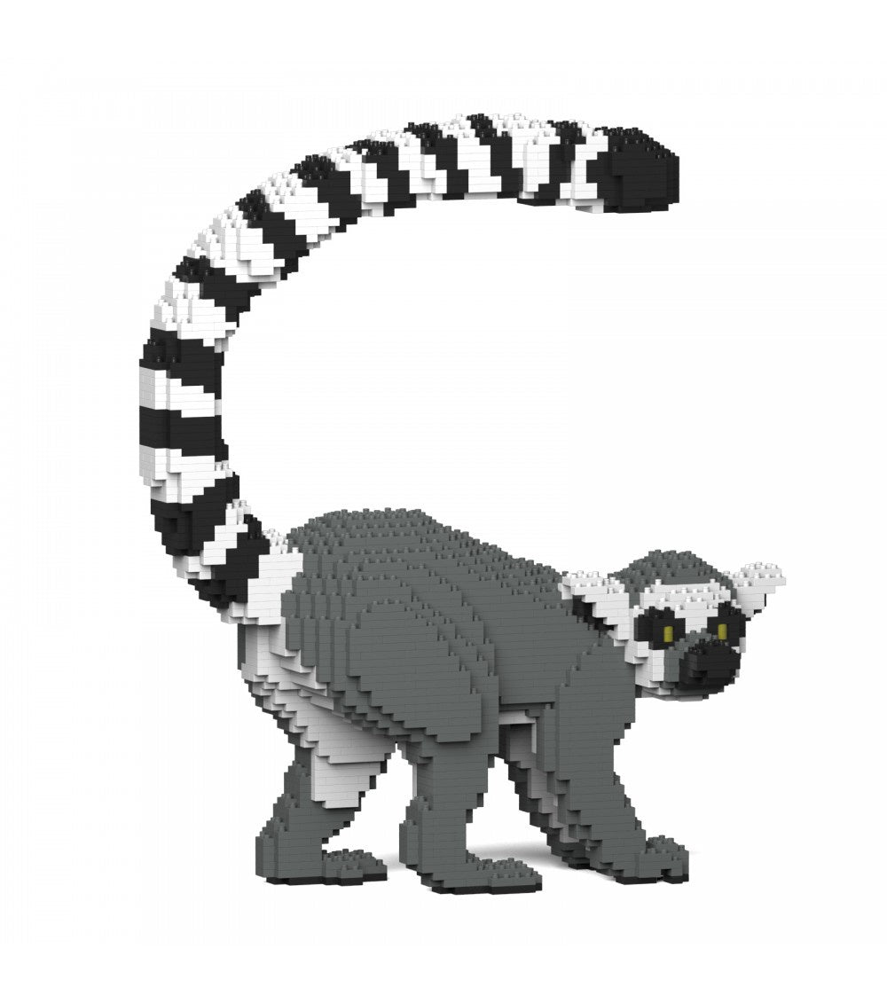 Jekca Ring-Tailed Lemur