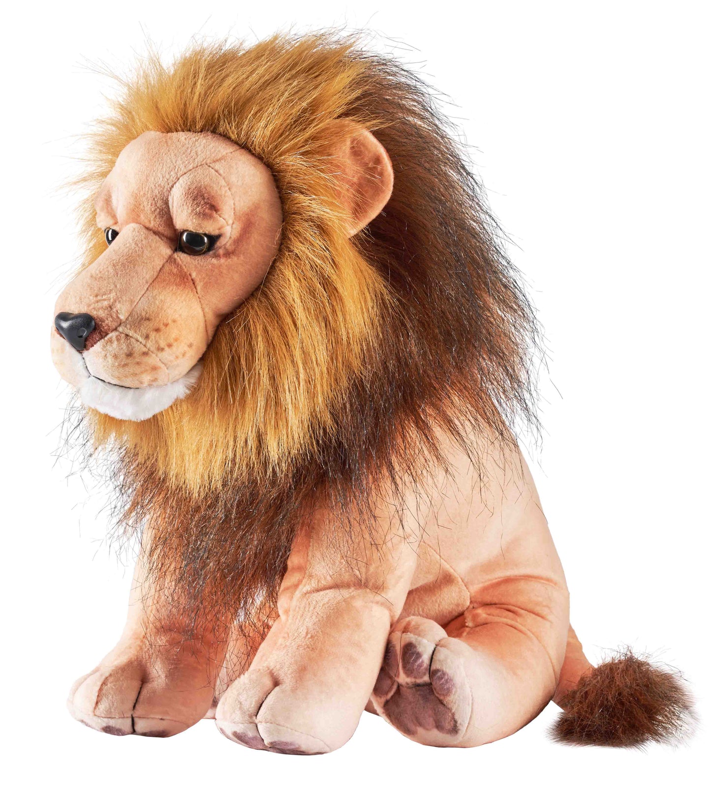 Artist - Lion 15"