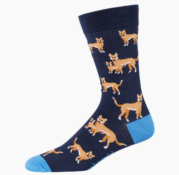 Bamboozld Mens Sock Dingo (Navy) Size 7-11