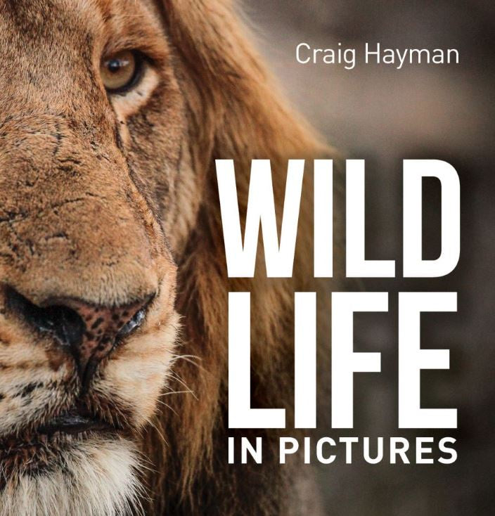 Wildlife in Pictures