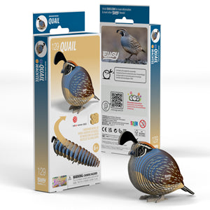 Dodoland Quail