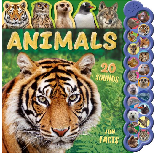 Animals Sound Book