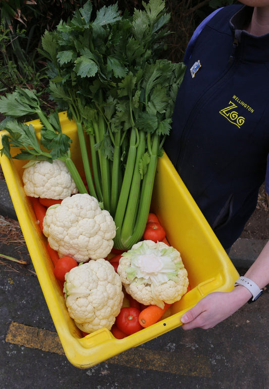 Vegie Box