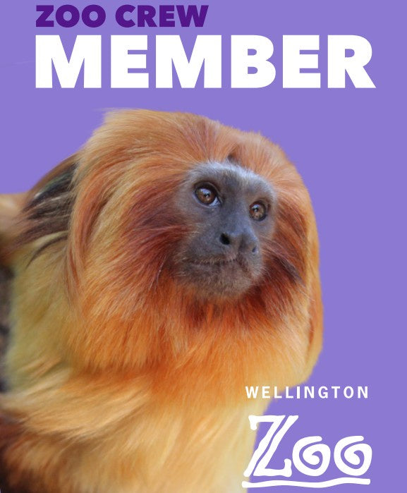 Child Membership Gift Card