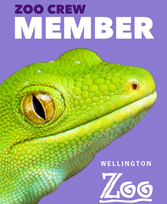 Concession Adult Membership Gift Card