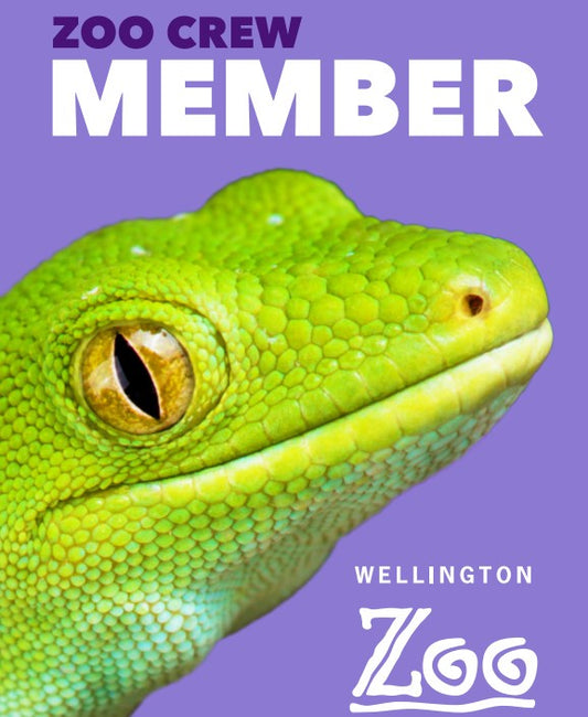 Concession Adult Membership Gift Card