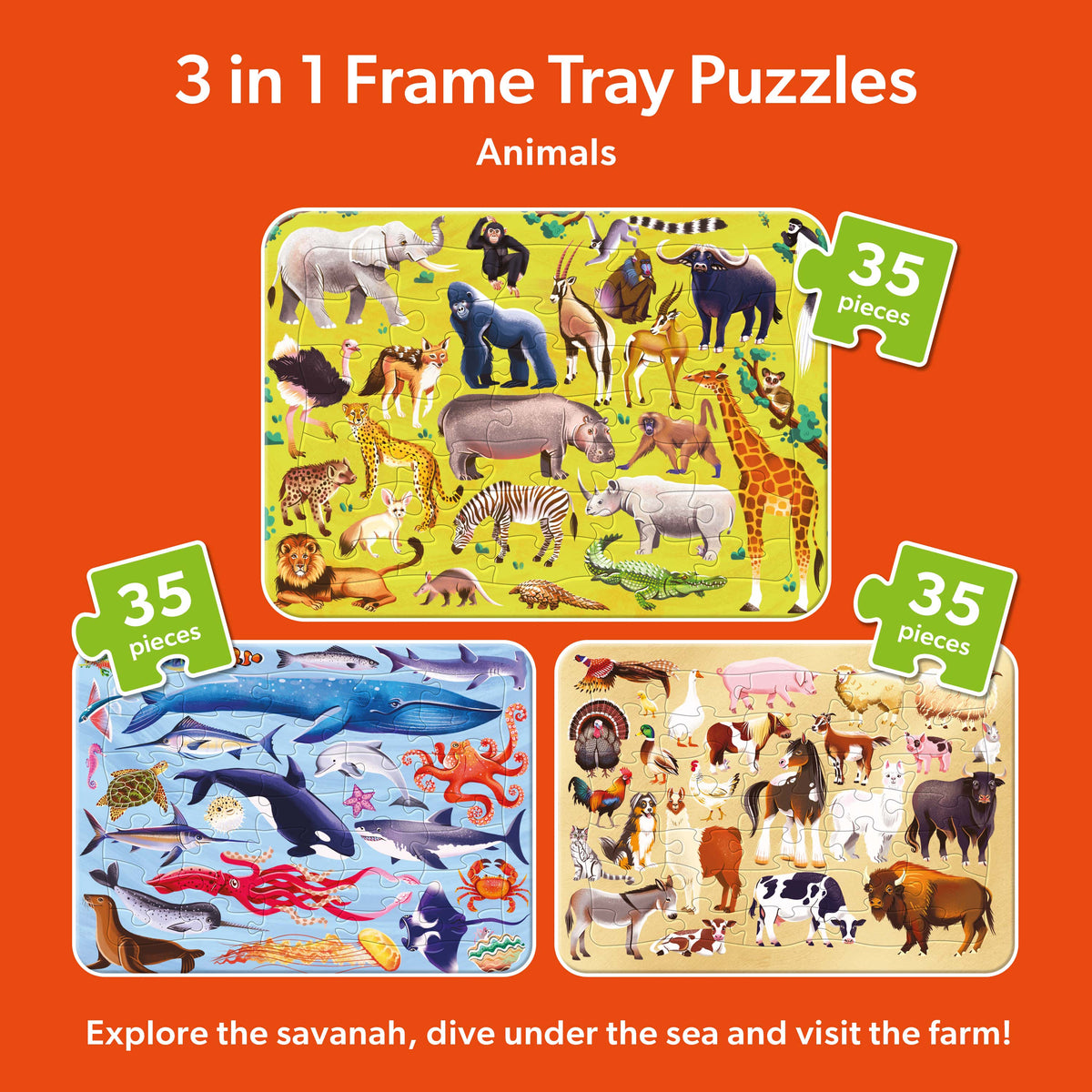 Frame Tray 35pc 3 Pack - Animals
