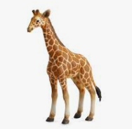 Collecta Giraffe Calf