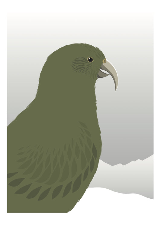 A4 Print - Kea Cheeky