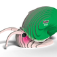 Dodoland Snail