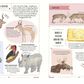 WILD - A Child's Guide to the Animal Kingdom