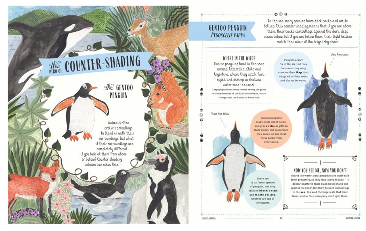 WILD - A Child's Guide to the Animal Kingdom