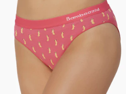 Bamboozld Womens Meerkat Bikini Brief - Small