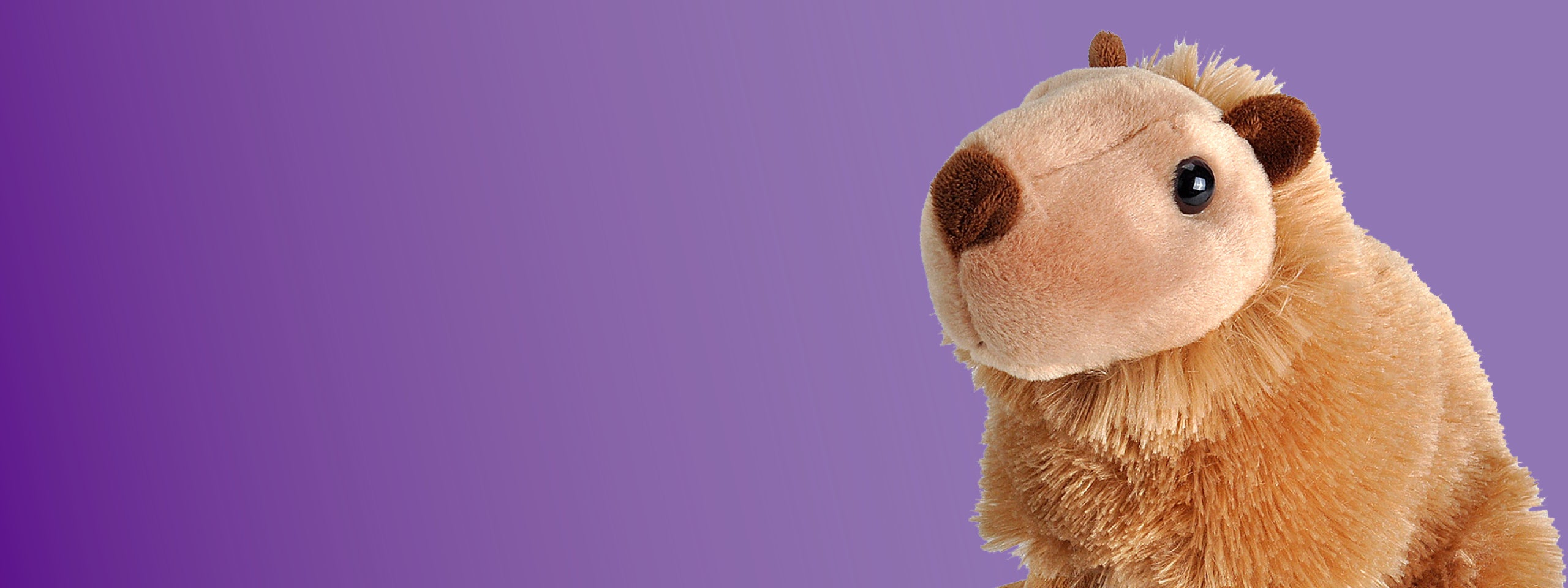 Shop Stuffed Animals & Plush Animals Online