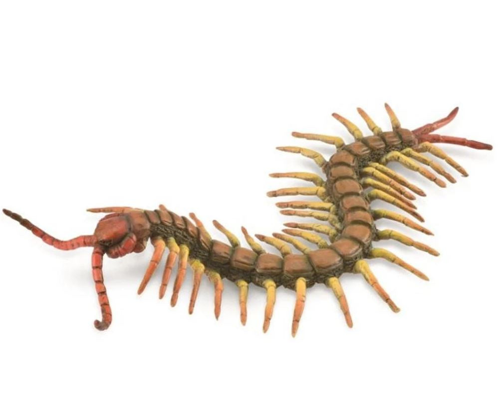 Collecta Centipede