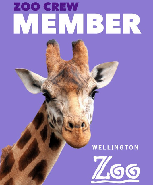 One Child and Any One Adult Membership Gift Card