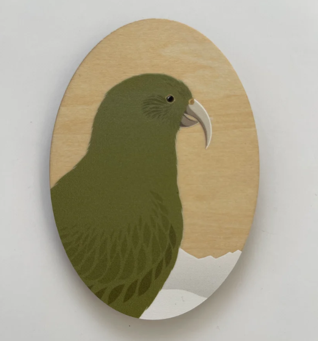 Magnet - Kea