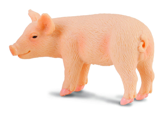 Collecta Pig