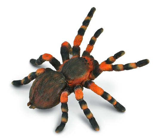 Collecta  Mexican Red Kneed Tarantula