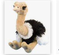 Cuddlekins Ostrich 12"