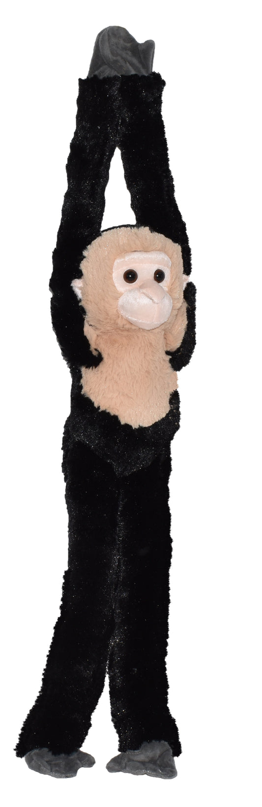 Hanging Monkey Capuchin 20"