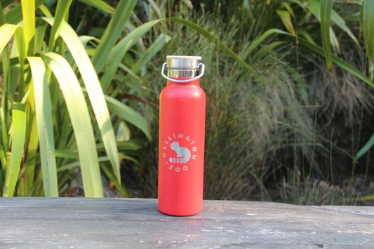 Deco Vacuum Drink Bottle - Red with Red Panda Engraving