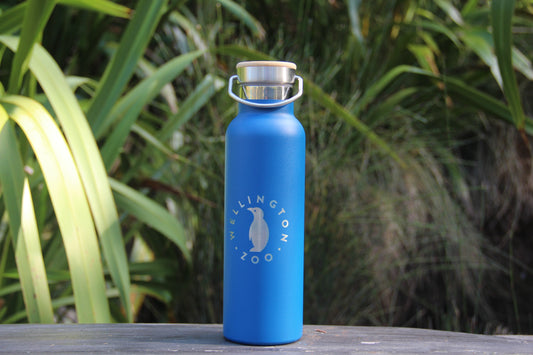 Deco Vacuum Drink Bottle - Royal Blue with Penguin Engraving