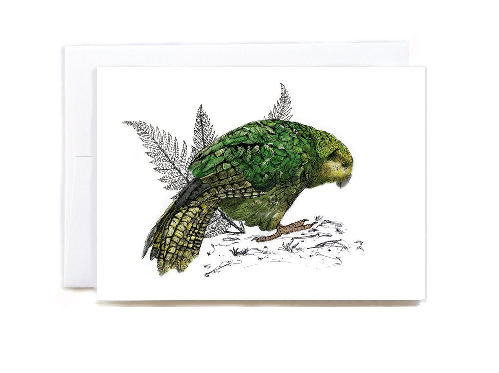 Jade Ell Kakapo Gift Card A6