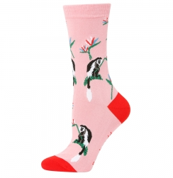 Bamboozld Womens Sock Paradisio (Pink) Size 2-8