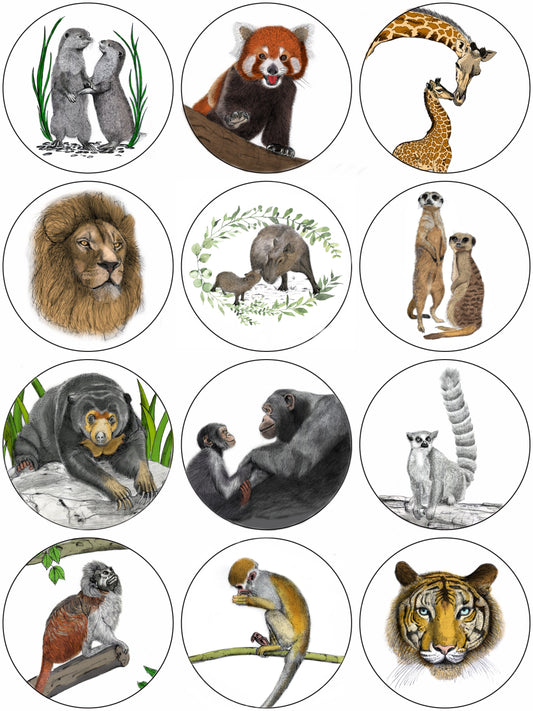 Jade Ell Exotic Animal Sticker Sheet