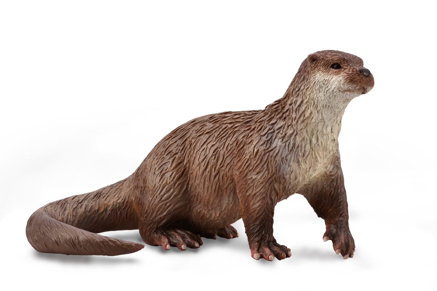 Collecta Otter